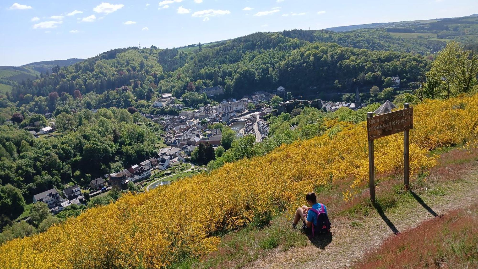 Vila Le Panorama La-Roche-en-Ardenne Exteriér fotografie