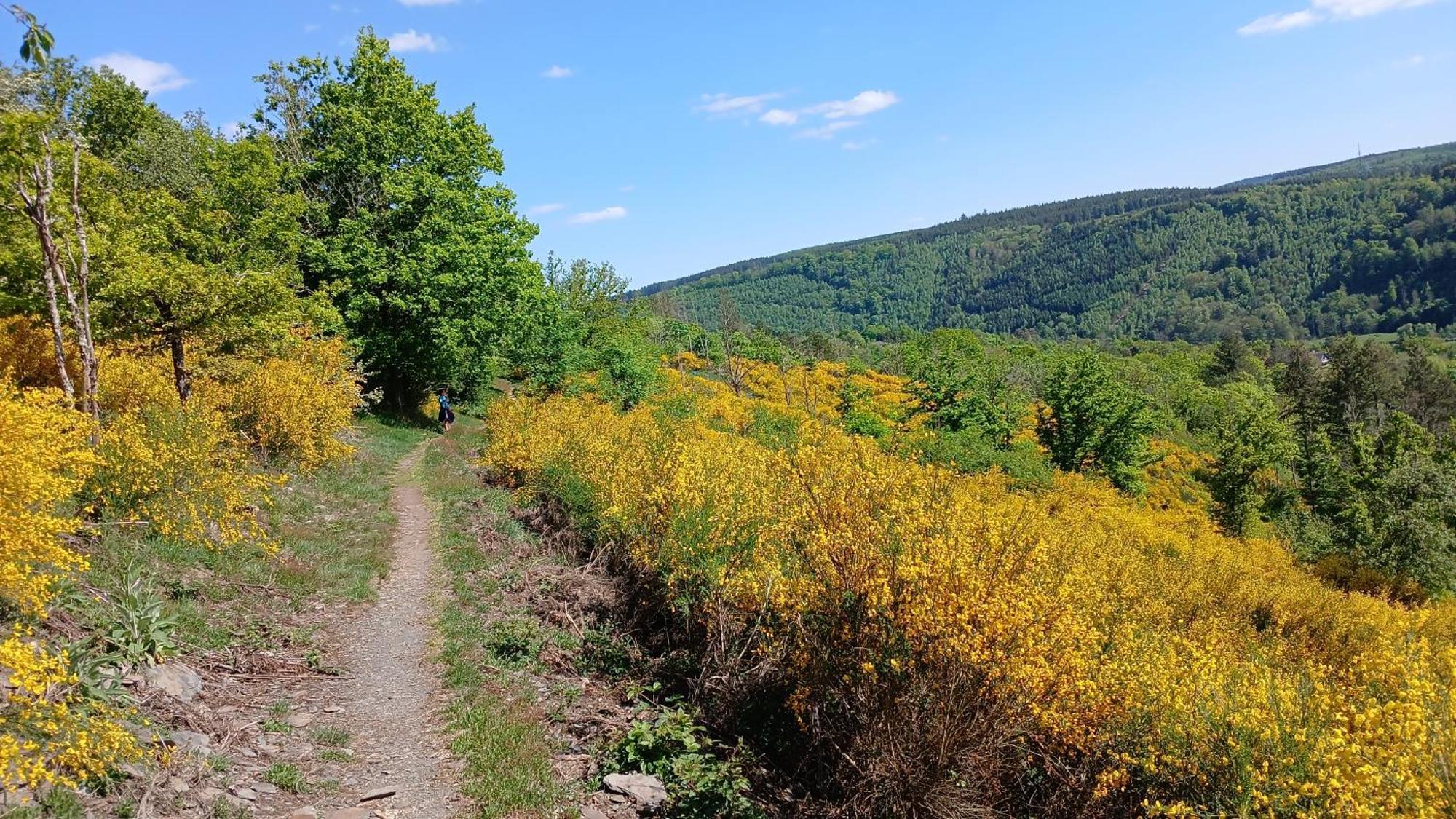 Vila Le Panorama La-Roche-en-Ardenne Exteriér fotografie